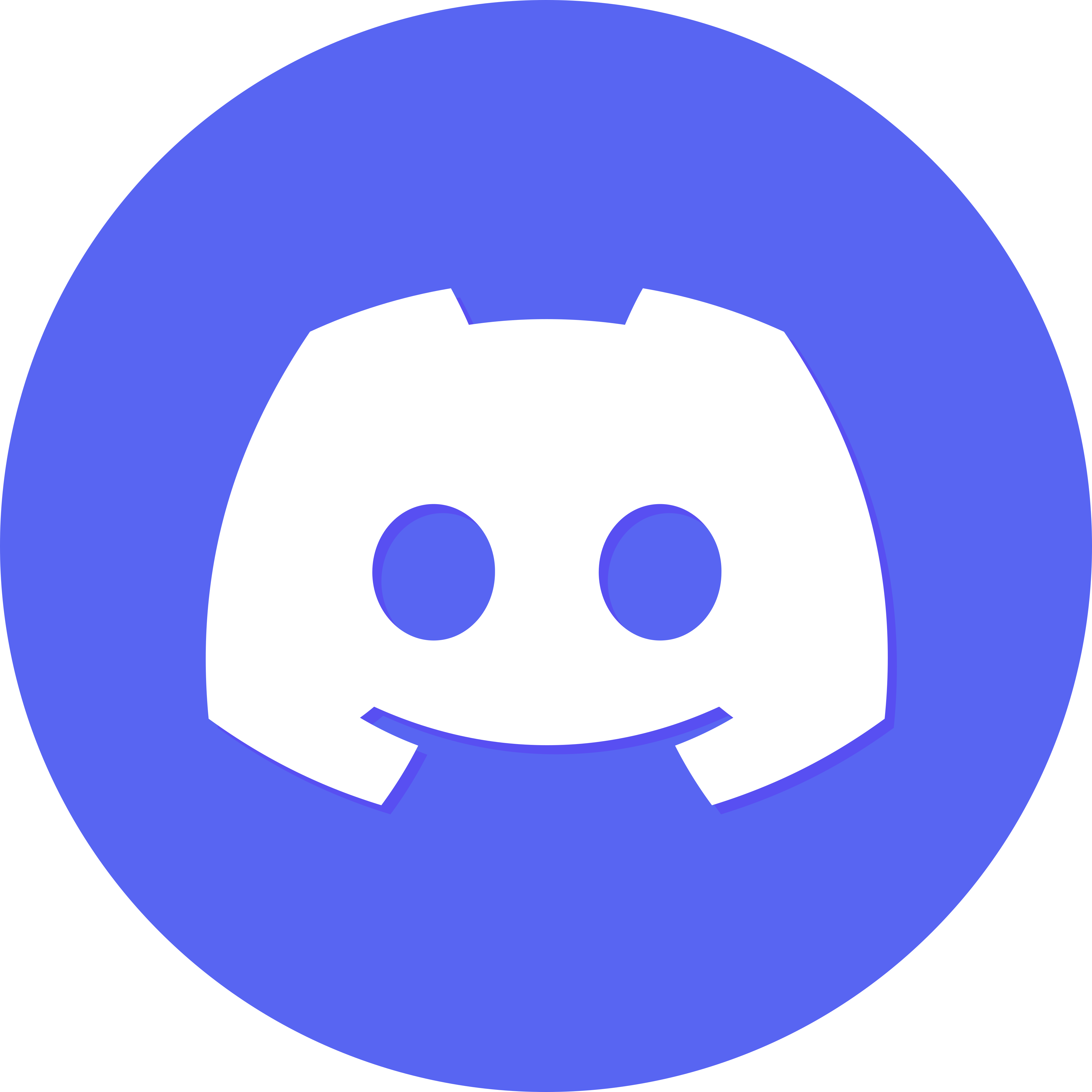 Obrir el server de Discord